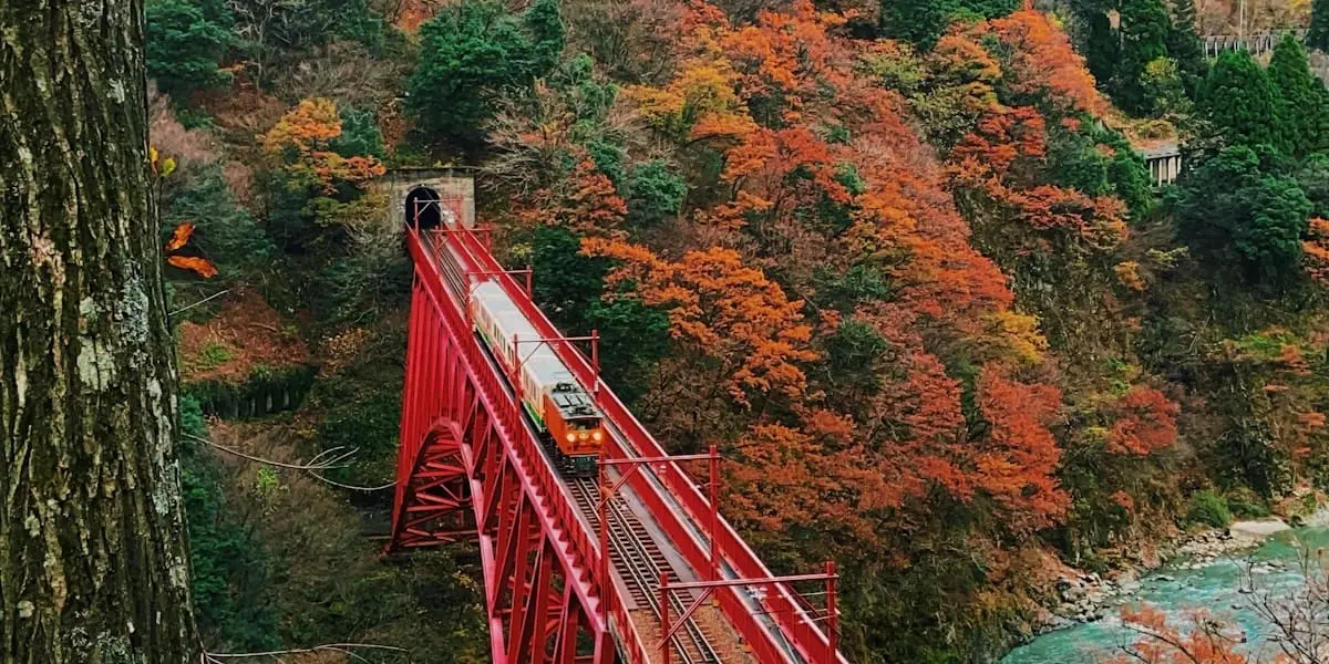 Toyama Marathon